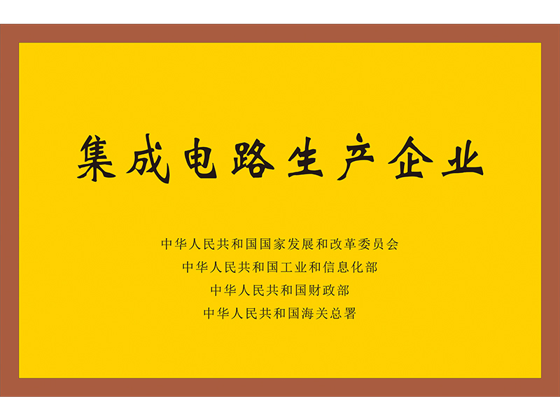 集成電路生產(chǎn)企業(yè)